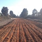 Glenco Coal Mine Rehabilitation of Access Road (Witbank)